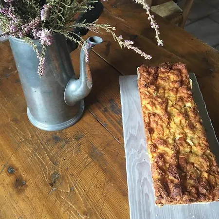 Domaine De Fondain Bed & Breakfast Laqueuille